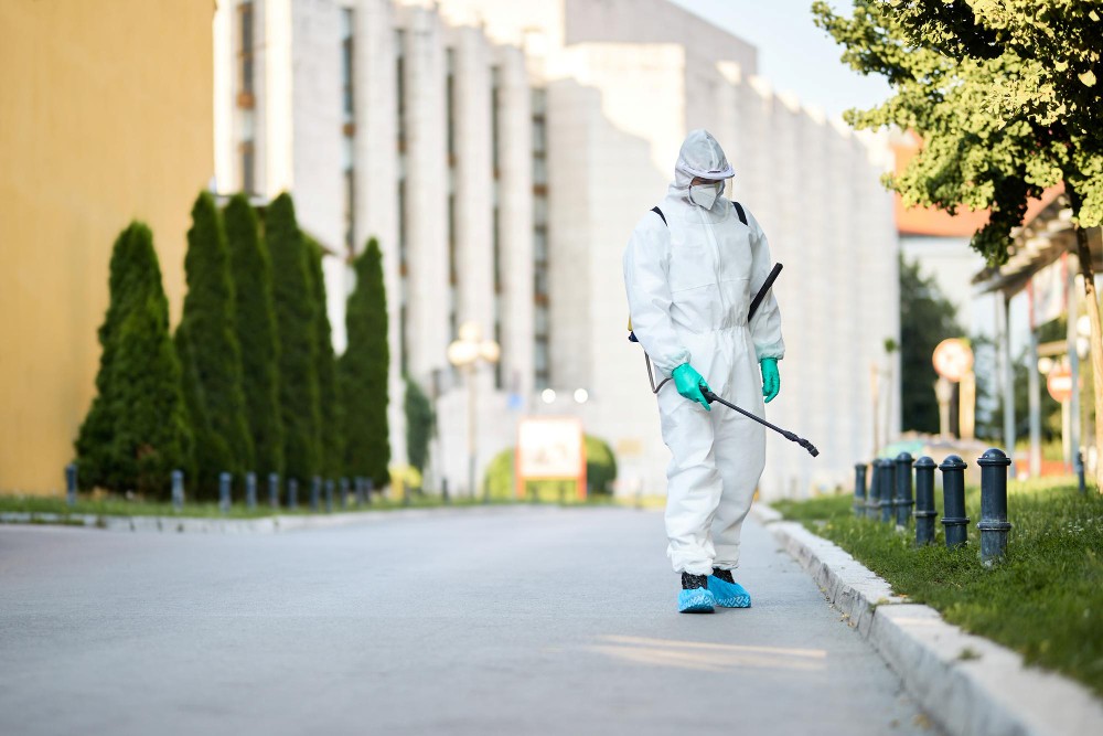 Professional pest control specialist inspecting a commercial facility